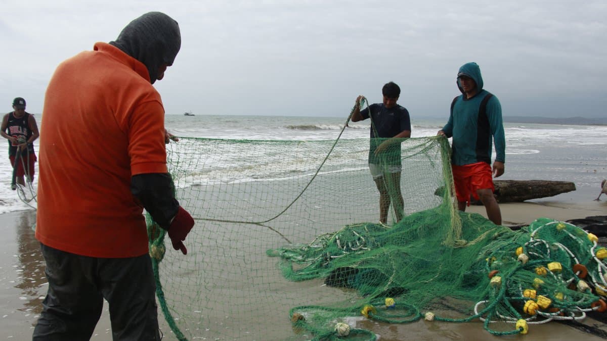 Los pescadores del Pacífico sufren el impacto del calentamiento oceánico provocado por el fenómeno de El Niño