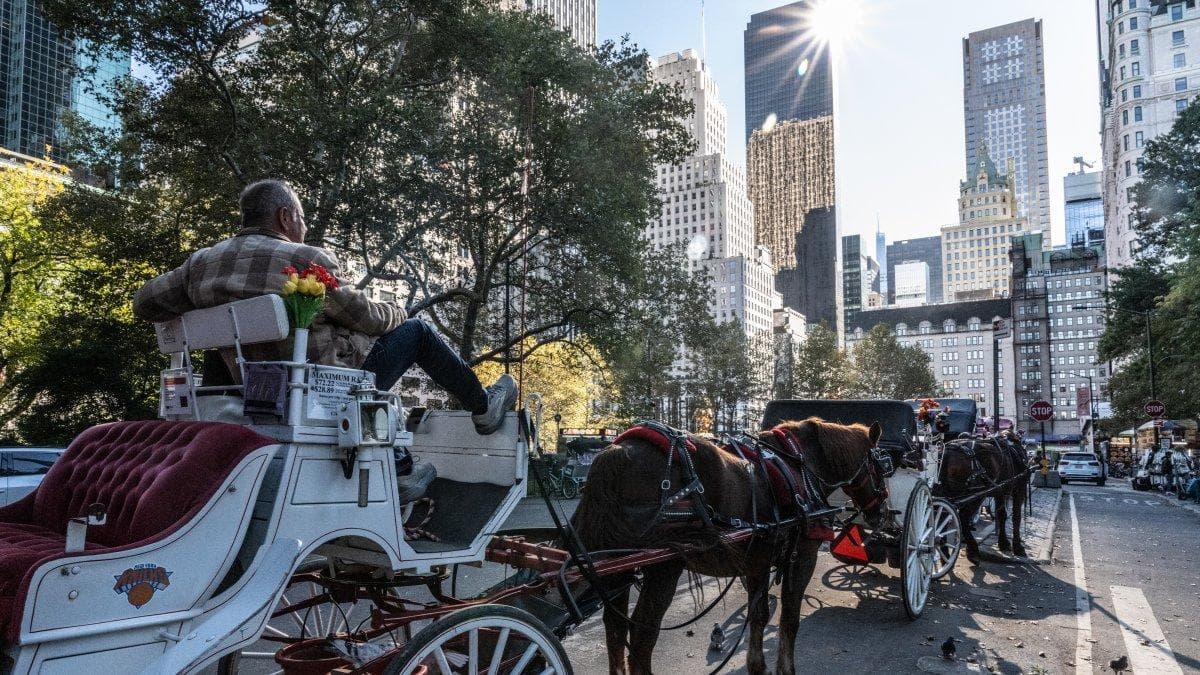Carruajes de caballos en Nueva York. Imagen de archivo